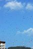 Imagem=R_cielo.jpg
Tamanho=253KB
Dimensão=800x1200
Data Envio=07 Mai, 2007 R_cielo.jpg
