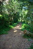 Filename=Ruta_Aldan_02.jpg
Filesize=527KiB
Dimensions=999x1500
Date added=Jul 02, 2014 Ruta_Aldan_02.jpg