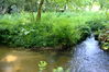Filename=Ruta_Aldan_08.jpg
Filesize=489KiB
Dimensions=1500x999
Date added=Jul 02, 2014 Ruta_Aldan_08.jpg