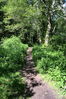 Filename=Ruta_Aldan_10.jpg
Filesize=572KiB
Dimensions=999x1500
Date added=Jul 02, 2014 Ruta_Aldan_10.jpg