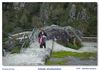 Nombre del archivo=Subiendo-Mirador.jpg
Tamaño del archivo=164Kb
Dimensiones=940x673
Fecha añadida=01 de Abril de 08 Subiendo-Mirador.jpg