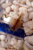 Filename=Triop1.jpg
Filesize=299KiB
Dimensions=1000x1500
Date added=Feb 02, 2014 Triop1.jpg