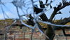 Filename=a-traves-del-cristal2.jpg
Filesize=365KiB
Dimensions=1600x916
Date added=Mar 01, 2014 a-traves-del-cristal2.jpg