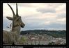 Filename=c_betanzos.jpg
Filesize=81KiB
Dimensions=654x451
Date added=Jul 28, 2005 c_betanzos.jpg