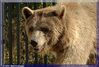 Filename=oso3.jpg
Filesize=152KB
Dimensi : 840x570
Tanggal dimasukkan : Jul 22, 2005 oso3.jpg