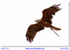 Filename=s_Aves3.jpg
Filesize=260KB
Dimensións=1670x1195
Data de engadido=Abr 07, 2013 s_Aves3.jpg