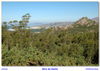 Filename=s_Bico_Do_Santo_1.jpg
Filesize=590KB
Dimensións=1680x1196
Data de engadido=Set 24, 2010 s_Bico_Do_Santo_1.jpg