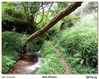 Filename=s_Molinos_Bueu_02.jpg
Filesize=700KiB
Dimensions=1490x1188
Date added=Apr 19, 2014 s_Molinos_Bueu_02.jpg