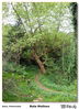 Filename=s_Molinos_Bueu_03.jpg
Filesize=505KiB
Dimensions=860x1188
Date added=Apr 19, 2014 s_Molinos_Bueu_03.jpg