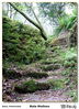Filename=s_Molinos_Bueu_08.jpg
Filesize=433KiB
Dimensions=860x1188
Date added=Apr 19, 2014 s_Molinos_Bueu_08.jpg