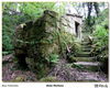 Filename=s_Molinos_Bueu_10.jpg
Filesize=638KiB
Dimensions=1383x1108
Date added=Apr 19, 2014 s_Molinos_Bueu_10.jpg