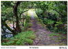 Filename=s_Os_Carranos_04.jpg
Filesize=1247KiB
Dimensions=1670x1195
Date added=Sep 29, 2014 s_Os_Carranos_04.jpg