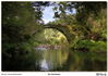 Filename=s_Os_Carranos_05.jpg
Filesize=1177KiB
Dimensions=1970x1395
Date added=Sep 29, 2014 s_Os_Carranos_05.jpg