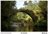 Filename=s_Os_Carranos_06.jpg
Filesize=1023KiB
Dimensions=1672x1195
Date added=Sep 29, 2014 s_Os_Carranos_06.jpg