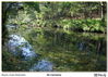 Filename=s_Os_Carranos_07.jpg
Filesize=1118KiB
Dimensions=1670x1195
Date added=Sep 29, 2014 s_Os_Carranos_07.jpg