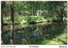 Filename=s_Os_Carranos_08.jpg
Filesize=1093KiB
Dimensions=1672x1195
Date added=Sep 29, 2014 s_Os_Carranos_08.jpg