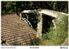 Filename=s_Os_Carranos_10.jpg
Filesize=1057KiB
Dimensions=1672x1195
Date added=Sep 29, 2014 s_Os_Carranos_10.jpg
