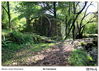Filename=s_Os_Carranos_11.jpg
Filesize=1277KiB
Dimensions=1672x1195
Date added=Sep 29, 2014 s_Os_Carranos_11.jpg