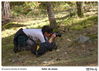 Filename=s_Taller_de_Setas-05.jpg
Filesize=788KiB
Dimensions=1670x1195
Date added=Nov 05, 2014 s_Taller_de_Setas-05.jpg