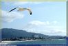 Nombre del archivo=volando_libre.jpg
Tamaño del archivo=70Kb
Dimensiones=840x570
Fecha añadida=30 de Mayo de 05 volando_libre.jpg