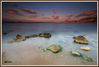 Filename=El_Cantalar.jpg
Filesize=279KiB
Dimensions=1225x825
Date added=May 01, 2009 El_Cantalar.jpg