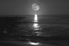 Filename=playa luna_filtered.jpg
Filesize=616KiB
Dimensions=3070x2046
Date added=Mar 26, 2006 playa luna_filtered.jpg