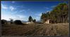 Filename=panorama_molineta.jpg
Filesize=923KiB
Dimensions=2024x1088
Date added=Oct 29, 2006 panorama_molineta.jpg
