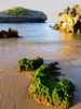 Filename=playa_cue_123_2348.jpg
Filesize=91KiB
Dimensions=480x640
Date added=Jan 08, 2006 playa_cue_123_2348.jpg