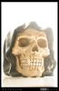 Filename=Calavera.JPG
Filesize=228KiB
Dimensions=556x854
Date added=Feb 05, 2009 Calavera.JPG