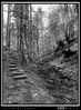 Filnamn=Selva_de_Irati.JPG
Filstorlek=388KiB
Dimensioner=648x880
Uppladdade datum=10 Feb 2009 Selva_de_Irati.JPG