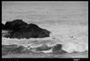 Filename=Surfing_01.JPG
Filesize=306KiB
Dimensions=1064x728
Date added=Jan 22, 2009 Surfing_01.JPG