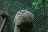 Filename=zoo01.jpg
Filesize=255KiB
Dimensions=800x534
Date added=Jan 11, 2007 zoo01.jpg