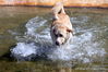 Filename=IMG_2243.JPG
Filesize=1008KiB
Dimensions=1600x1068
Date added=Apr 08, 2012 IMG_2243.JPG