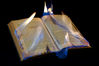 Filename=05_201105.jpg
Filesize=443KiB
Dimensions=1200x803
Date added=May 17, 2011 05_201105.jpg