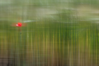 Filename=rosella_Adamski_escala.png
Filesize=6893KB
Neurriak=1440x960
Igotze data=Ira 24, 2019 rosella_Adamski_escala.png