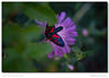 Nombre del archivo=s_2018-07-01_10-47-01.jpg
Tamaño del archivo=236Kb
Dimensiones=1523x1089
Fecha añadida=01 de Julio de 18 s_2018-07-01_10-47-01.jpg