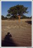 Filename=árbol.jpg
Filesize=383KB
Dimensi : 935x1370
Tanggal dimasukkan : Okt 08, 2009 árbol.jpg