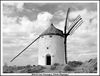 Filename=Moliventblancnegrecons.jpg
Filesize=269KiB
Dimensions=1057x807
Date added=Nov 27, 2007 Moliventblancnegrecons.jpg