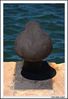 Imagem=detalle_muelle_1.jpg
Tamanho=123KB
Dimensão=736x1070
Data Envio=14 Fev, 2009 detalle_muelle_1.jpg