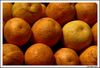 Имя файла=naranjas.jpg
Размер файла=291КБ
Размеры=1370x935
Дата=Окт 08, 2009 naranjas.jpg