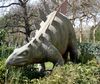 Nombre del archivo=Dino.JPG
Tamaño del archivo=890Kb
Dimensiones=2156x1820
Fecha añadida=19 de Junio de 10 Dino.JPG