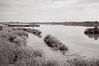 Filename=DSCF4202.jpg
Filesize=515KiB
Dimensions=1500x1000
Date added=Nov 10, 2015 DSCF4202.jpg