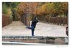 Filename=La_Pavlova_#_4.jpg
Filesize=458KiB
Dimensions=1272x883
Date added=Dec 08, 2011 La_Pavlova_#_4.jpg