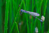 Bestandsnaam=_DSC0273.jpg
Bestandsgrootte=511KiB
Afmetingen = 1500x998
Datum toegevoegd = 30 aug 2014 _DSC0273.jpg