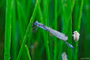 Nombre del archivo=_DSC0279.jpg
Tamaño del archivo=516Kb
Dimensiones=1500x998
Fecha añadida=30 de Agosto de 14 _DSC0279.jpg