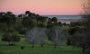 Filename=_DSC5827.jpg
Filesize=935KiB
Dimensions=1000x604
Date added=Sep 05, 2015 _DSC5827.jpg