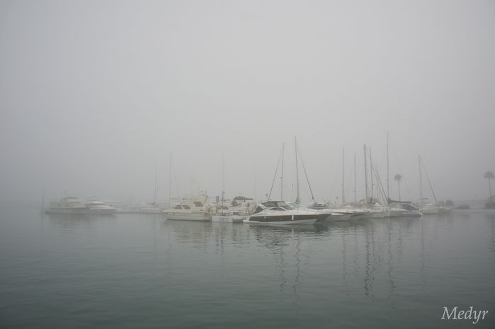 Niebla puerto duquesa