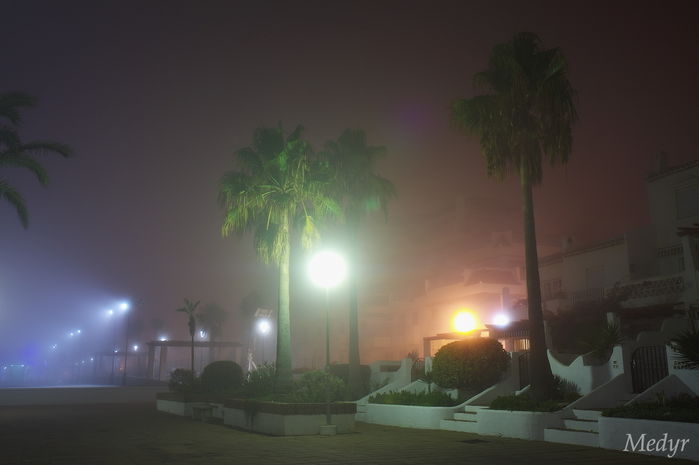 Niebla puerto duquesa