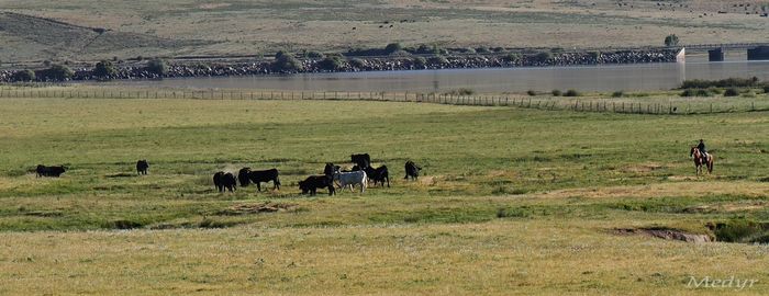 Campo Azalvaro saneamiento