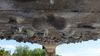 Filename=20150702_144208.jpg
Filesize=1933KiB
Dimensions=3264x1836
Date added=Jul 02, 2015 20150702_144208.jpg